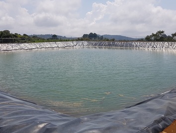 Más de 20 años de experiencia